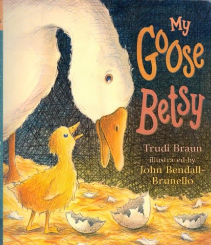 My Goose Betsy (Read & Wonder S.)