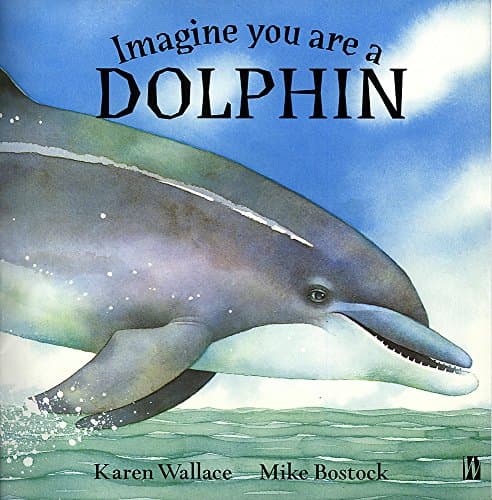 Imagine You Are A Dolphin: 3