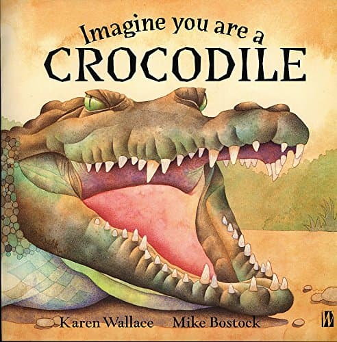 Imagine You Are A Crocodile: 4
