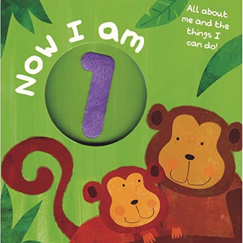 Now I am 1 (Number Touch & Feel Books)