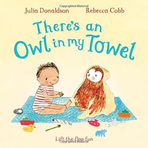 There's an Owl in My Towel (Lift the Flap Book)