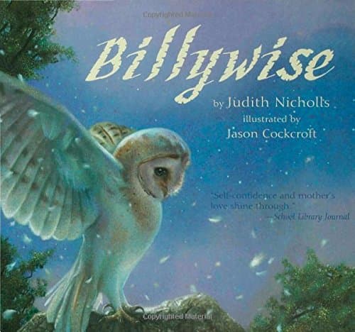 Billywise