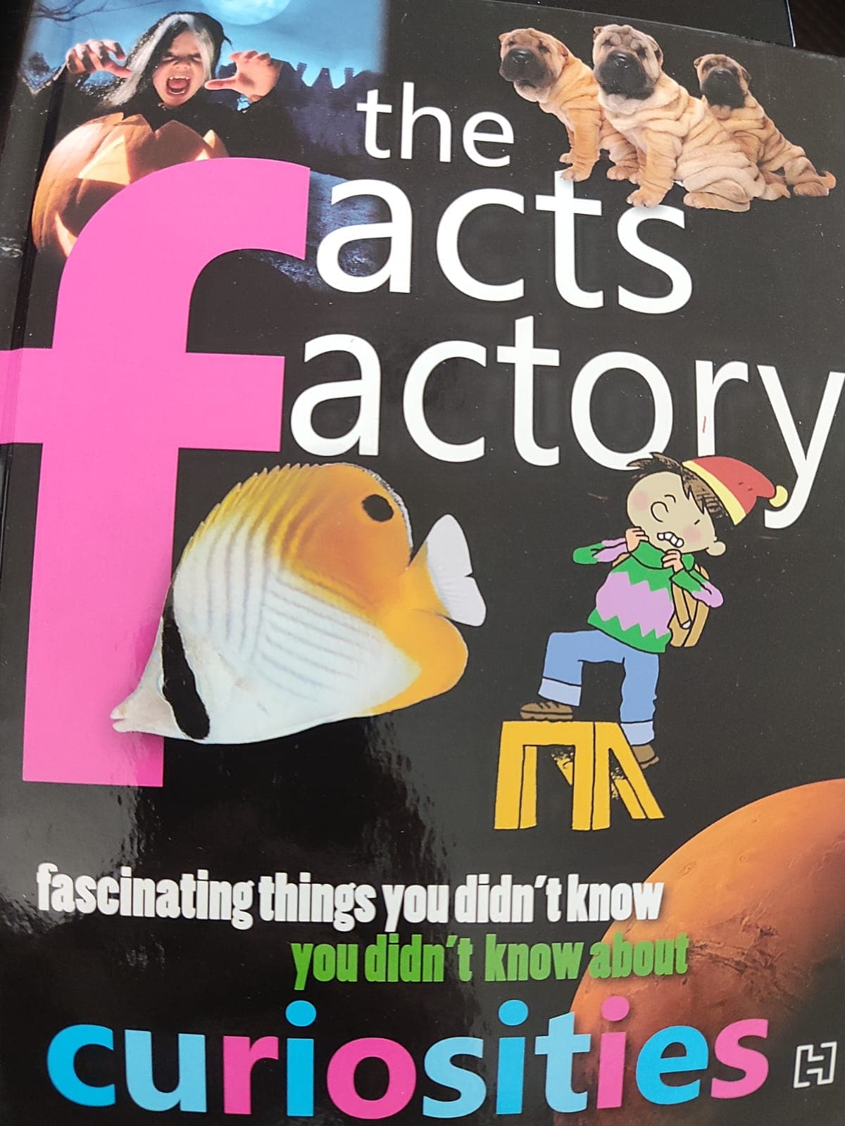 The Fact Factory - Curiosities