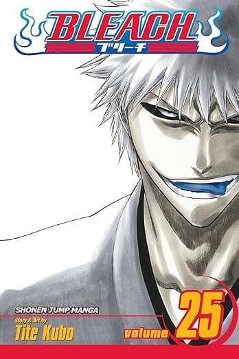 Bleach Vol. 25, 26, 27 (3-in-1 Edition) Manga series - Graphics novel