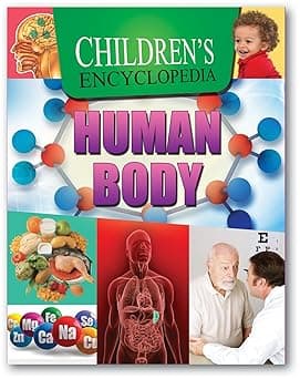 Children's Encyclopedia Human Body - knowledge
