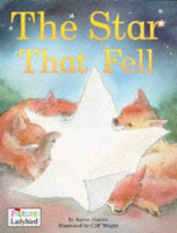 The Star That Fell (Picture Ladybirds)