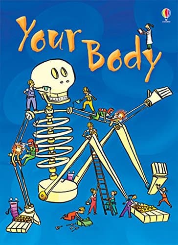 Your Body (Beginners Series)