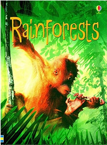 Rainforests (Beginners Series)