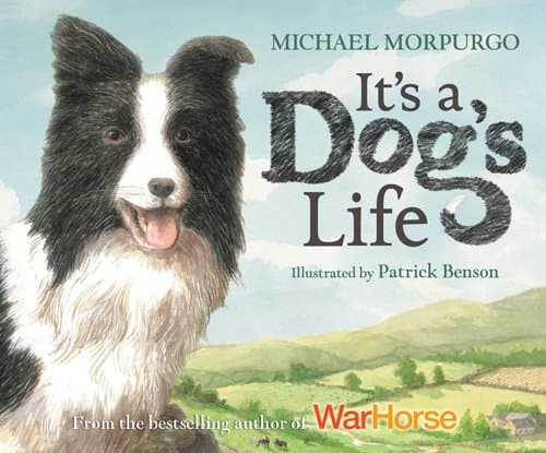 It's a Dog's Life