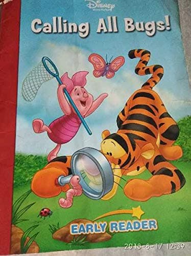 Disney Winnie the Pooh Calling all bugs