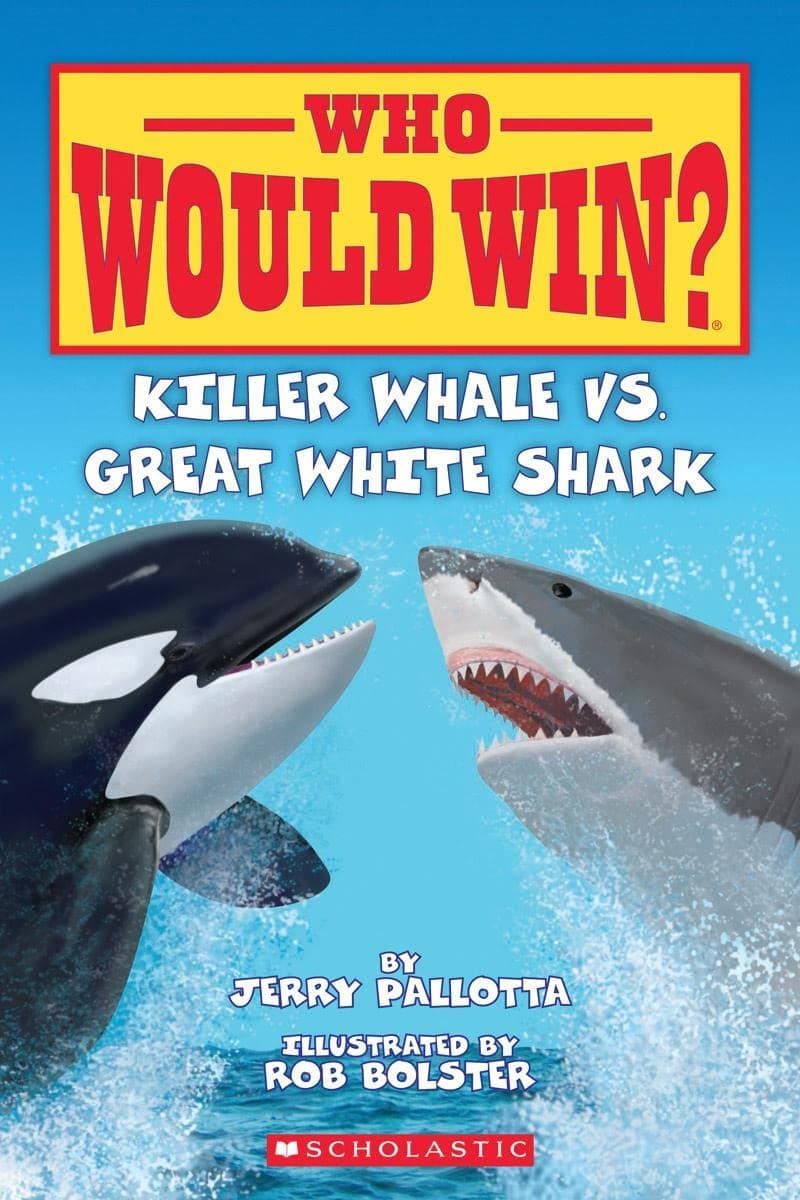 KILLER WHALE VS. GREAT WHITE SHARk-WHO WOULD WIN?