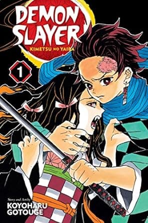 DEMON SLAYER Book 1 - KIMETSU NO YAIBA
