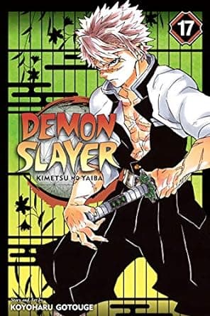 DEMON SLAYER Book 17 - KIMETSU NO YAIBA